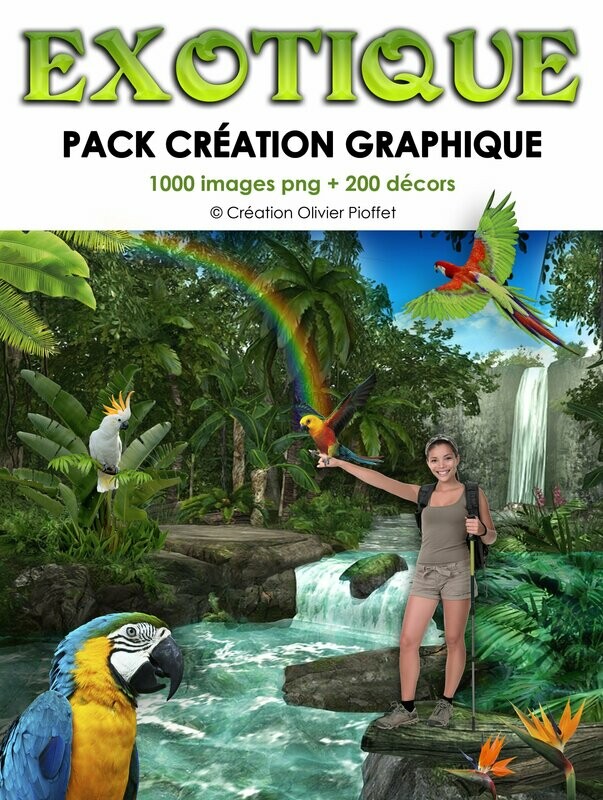 PC 22 - Création EXOTIQUE
