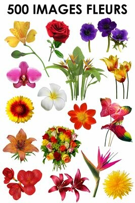 E. PACK FLEURS 500 PNG