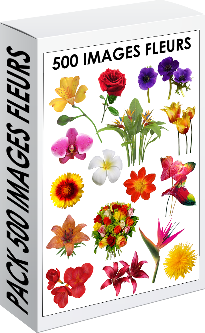 E. PACK FLEURS 500 PNG
