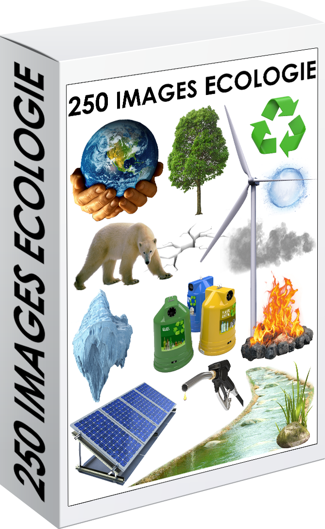 E. PACK ECOLOGIE 250 PNG
