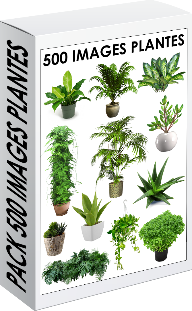 E. PACK PLANTES 500 PNG