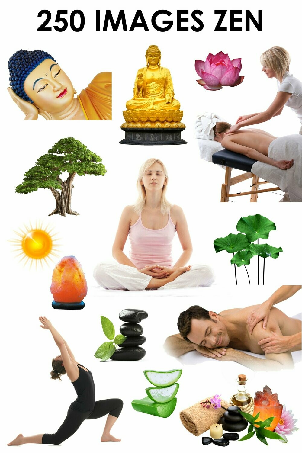 E. PACK ZEN 250 PNG