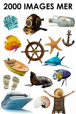 E. PACK MER 2000 PNG