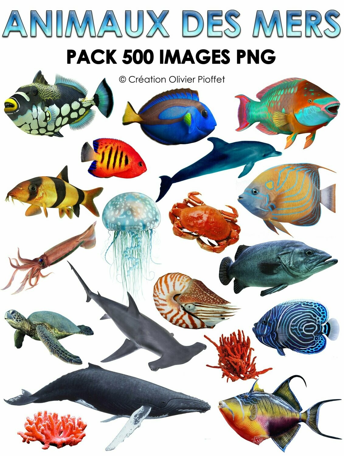 E. PACK ANIMAUX DES MERS 500 PNG