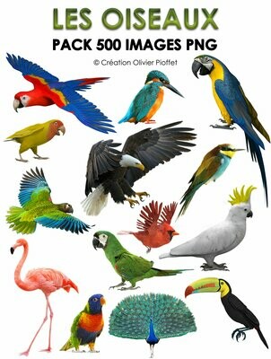 E. PACK OISEAUX 500 PNG E. PACK OISEAUX 500 PNG