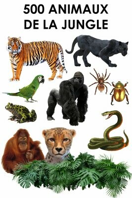 E. PACK ANIMAUX de la JUNGLE 500 PNG