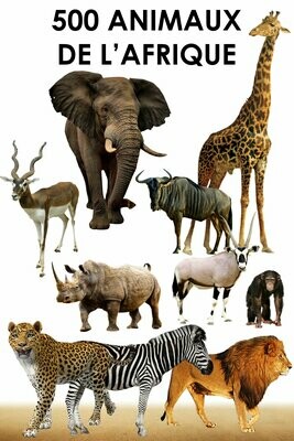 E. PACK ANIMAUX de l'AFRIQUE 500 PNG