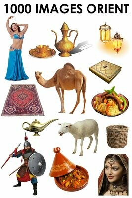 E. PACK ORIENT 1000 PNG