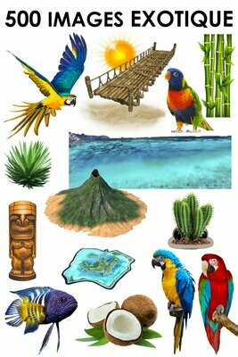 E. PACK EXOTIQUE 500 PNG