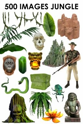 E. PACK JUNGLE 500 PNG