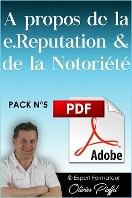 PDF C0510 - A propos de la e.Réputation & de la notoriété - Nouvelle Version 2024