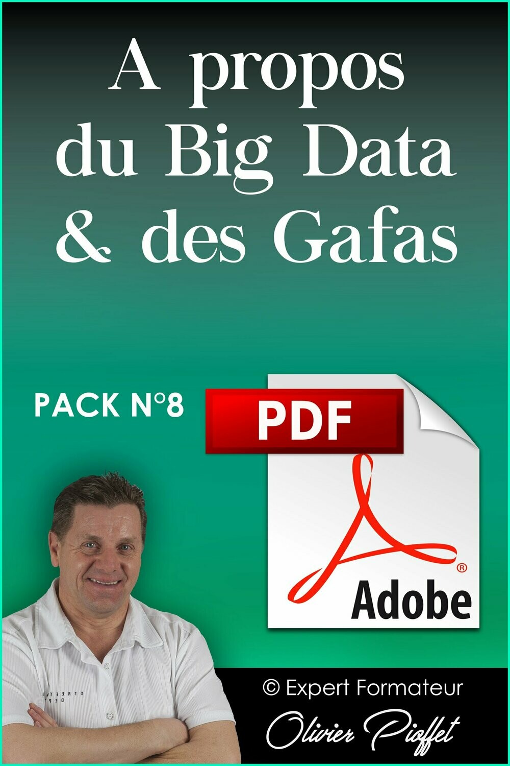 PDF C0819 - A propos du Big data & des Gafas