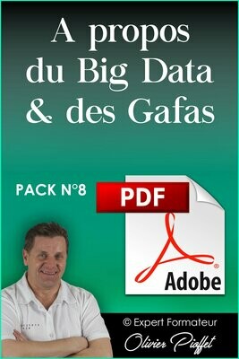 PDF C0819 - A propos du Big data & des Gafas