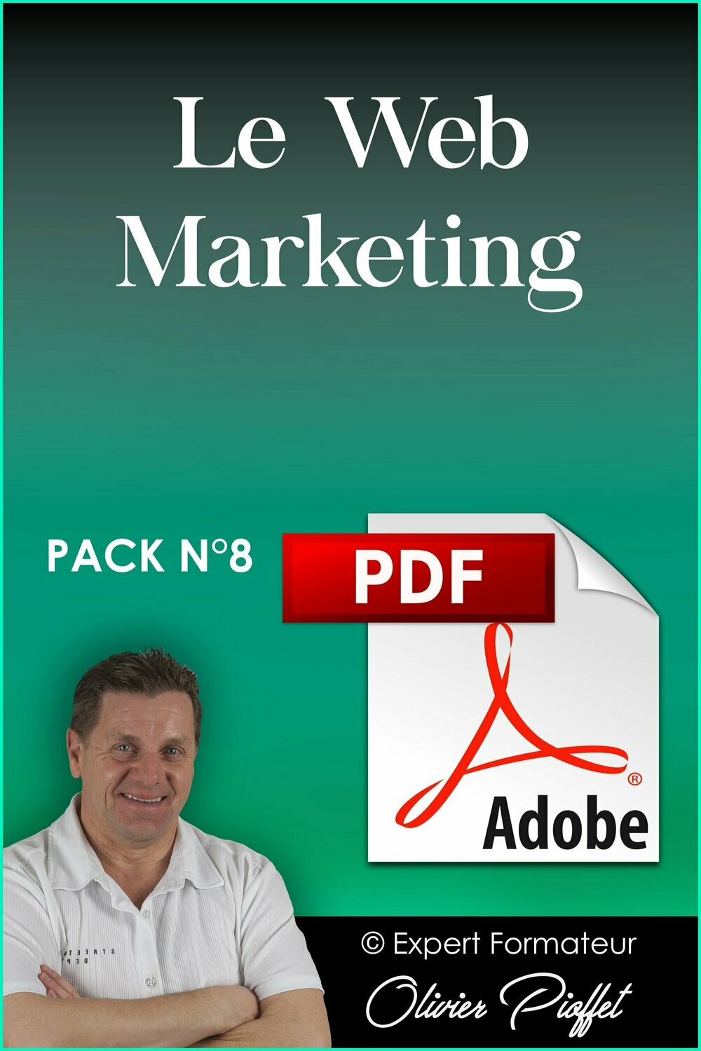 PDF C0823 - Le Web Marketing Version 2024