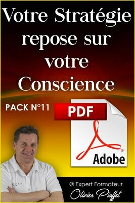 PDF C1107 - Votre stratégie repose sur votre conscience