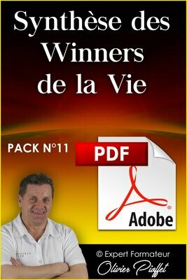 PDF C1118 - Synthèse des Winners de la vie 2024