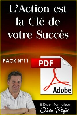 PDF C1117 - L'action est la clé de votre succès 2024