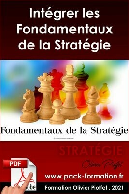 PDF 04.01. Les fondamentaux de la stratégie