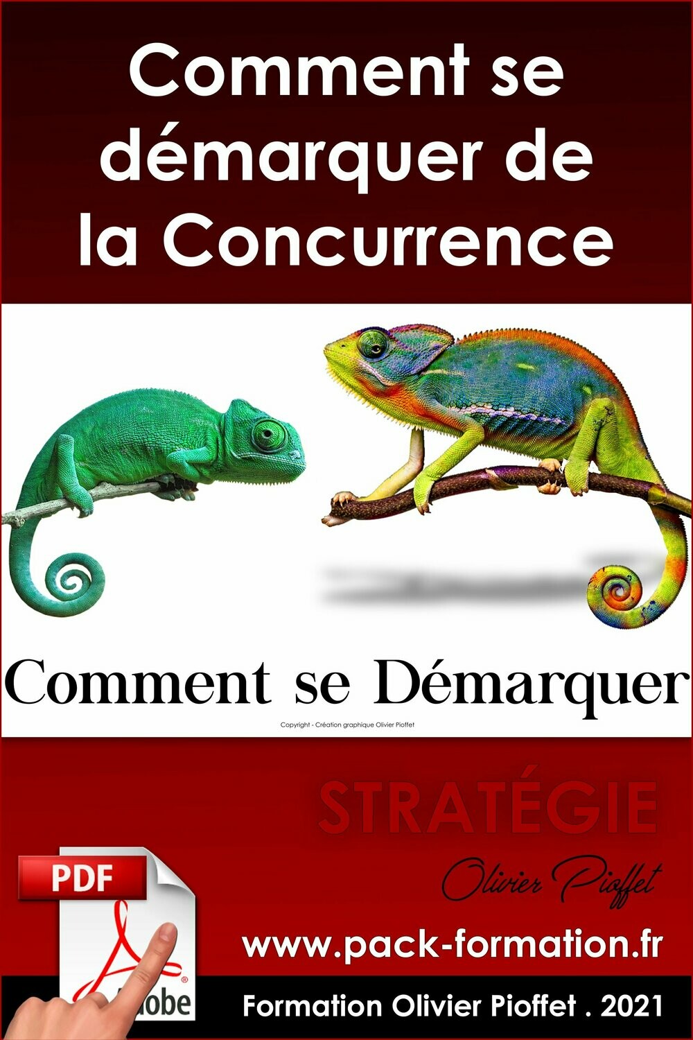 PDF 04.17. Comment se démarquer de la concurrence