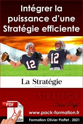 PDF 04.24. La puissance d'une stratégie efficiente