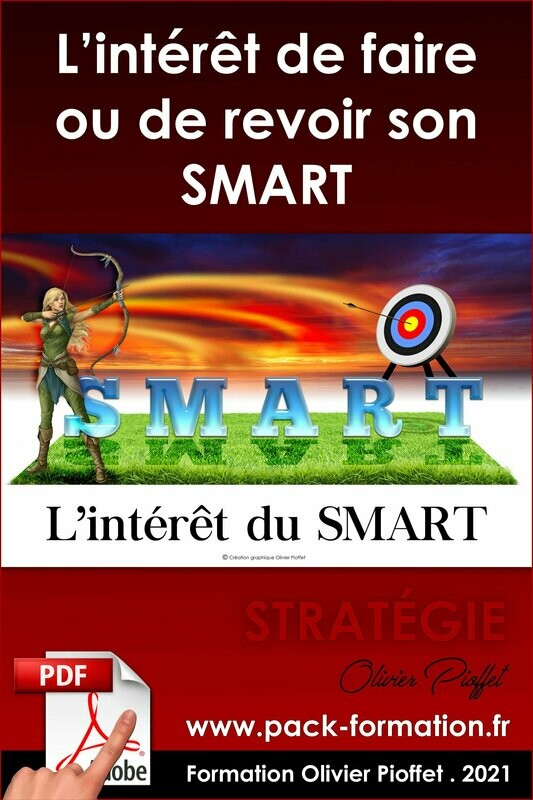 PDF 04.03. L'intérêt de revoir son SMART