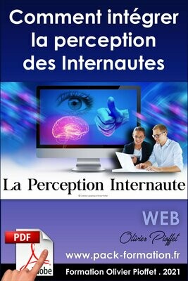 PDF 09.20 - Intégrer la perception des internautes