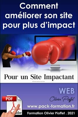 PDF 09.23 - Comment améliorer son site pour plus d'impact