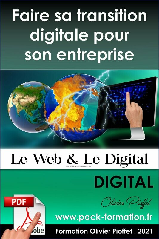 PDF 08.04 - Faire sa transition digitale pour son entreprise