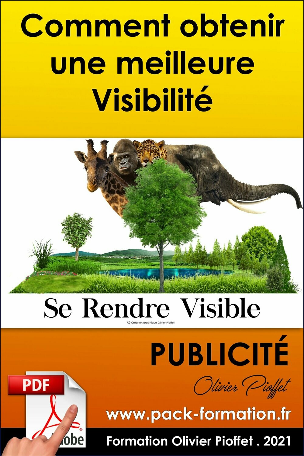 PDF 02.07. Comment obtenir une meilleure visibilité