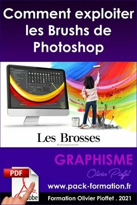PDF 12.07 - Comment exploiter les brushs sur Photoshop