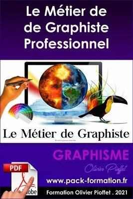 PDF 12.17 - Le métier de graphiste professionnel en 2024