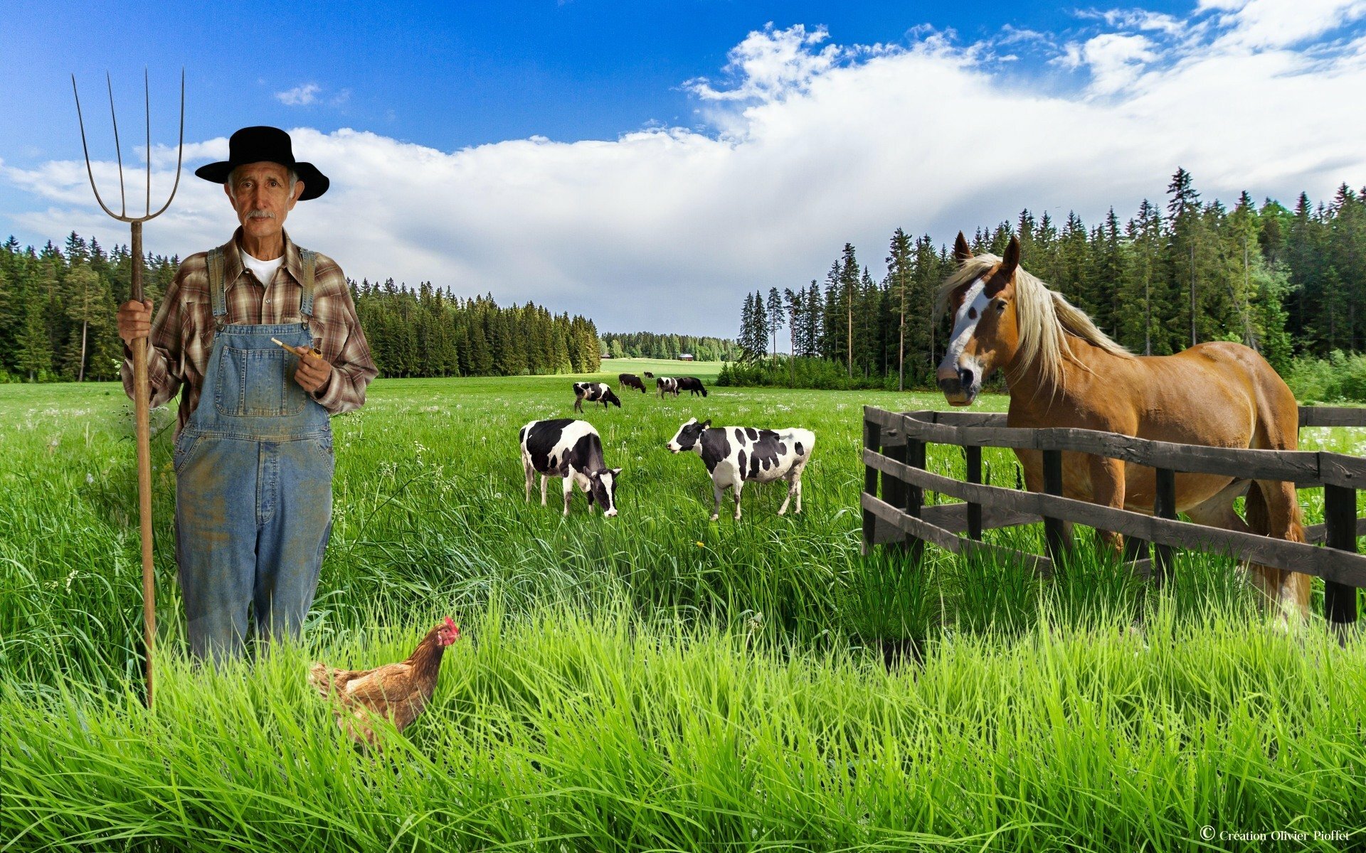 PACK MONTAGE PHOTOSHOP LE FERMIER