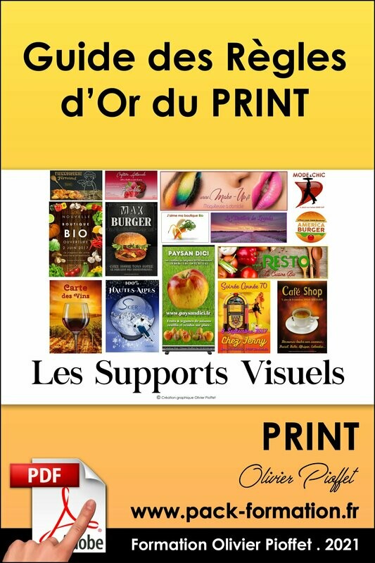 PDF 03.01. Guide des règles d'or du PRINT