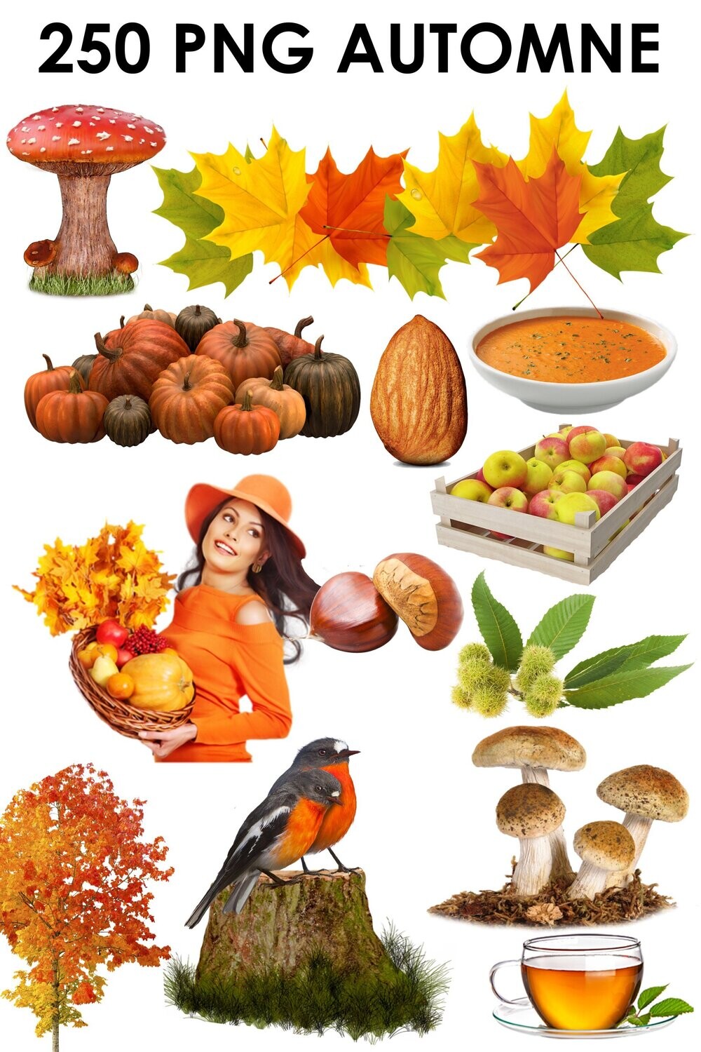 E. PACK AUTOMNE 250 PNG