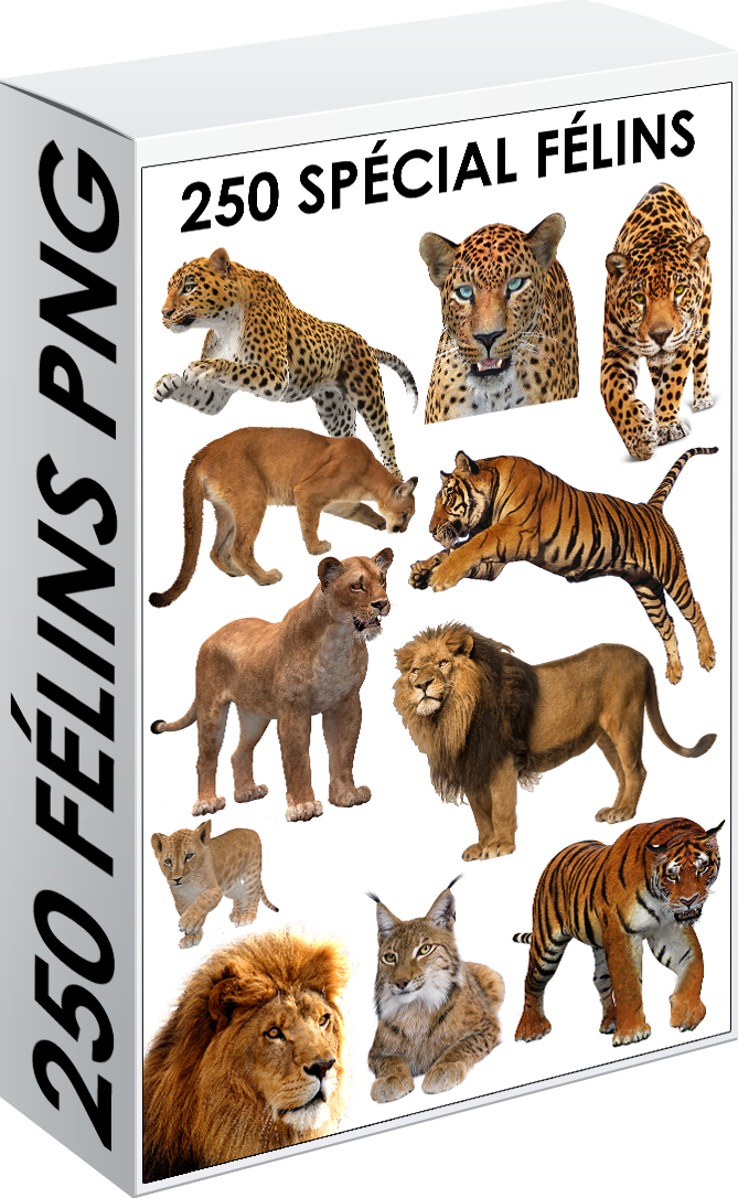 E. PACK FÉLINS 250 PNG