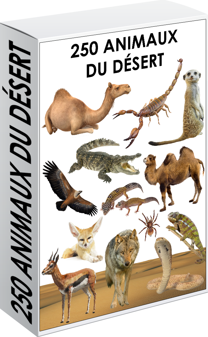 E. PACK ANIMAUX DU DÉSERT 250 PNG