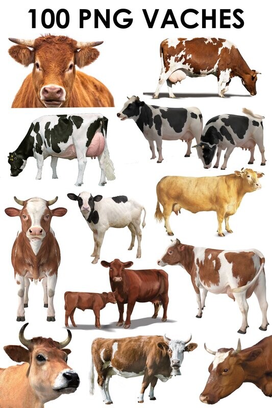 E. PACK SPÉCIAL VACHES 100 PNG