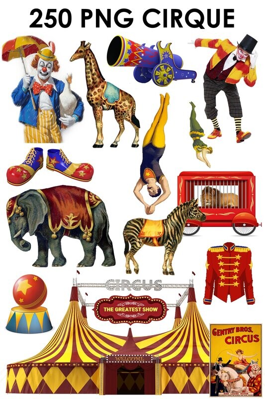 E. PACK CIRQUE 250 PNG