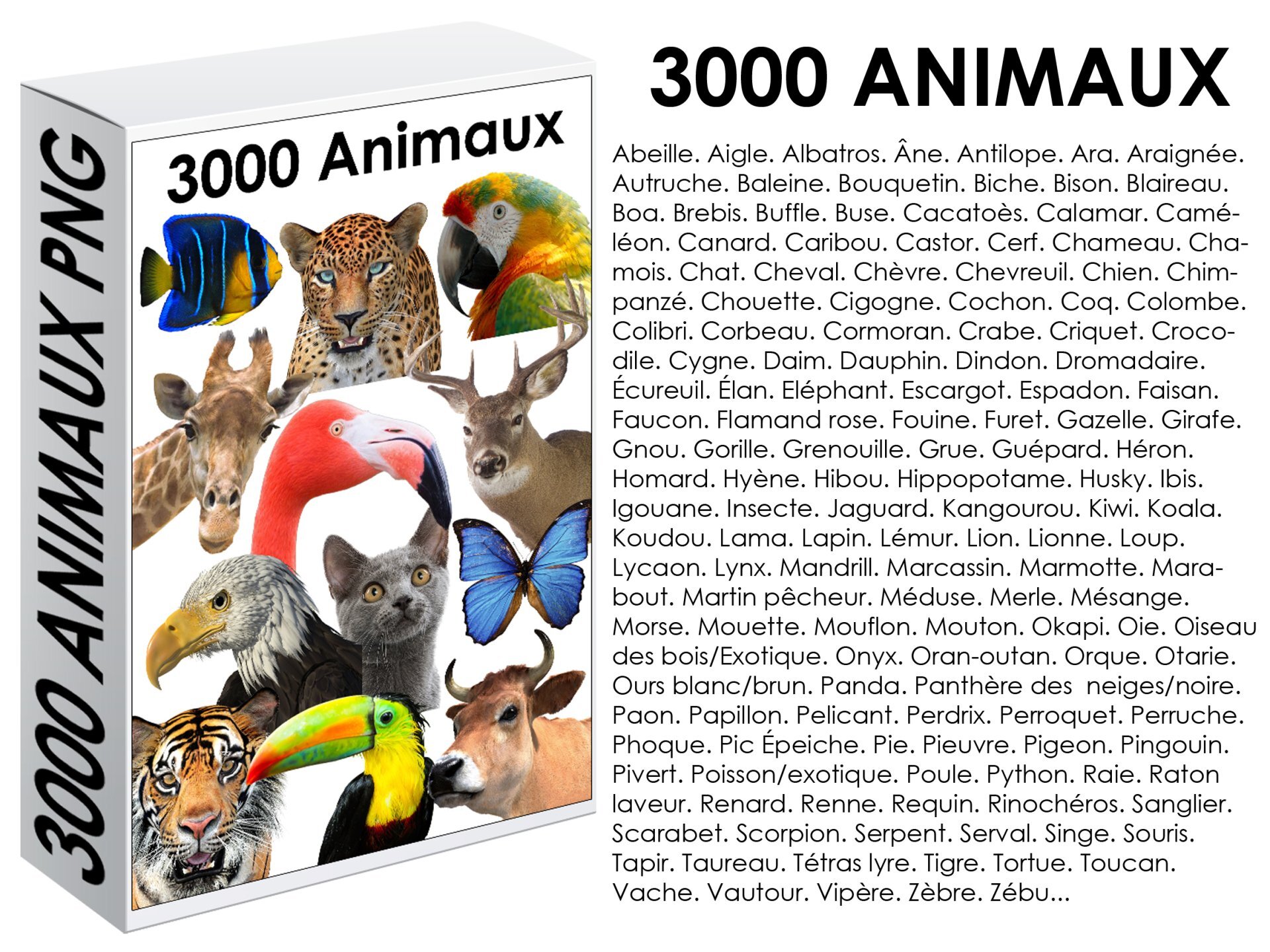 E. PACK ANIMAUX 3000 PNG