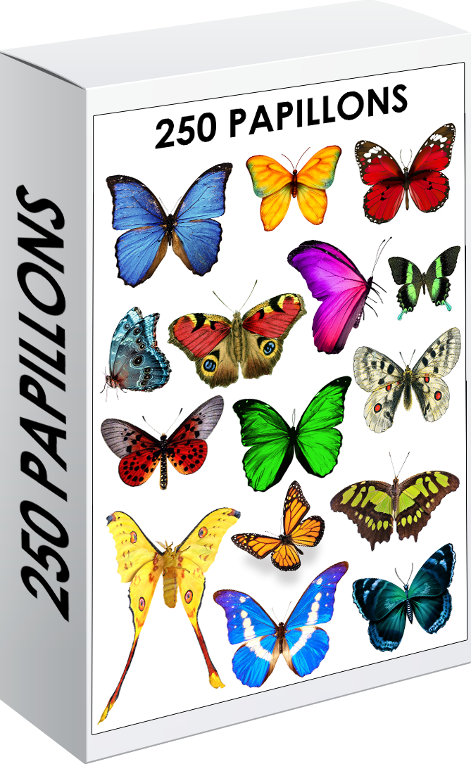E. PACK PAPILLONS 250 PNG