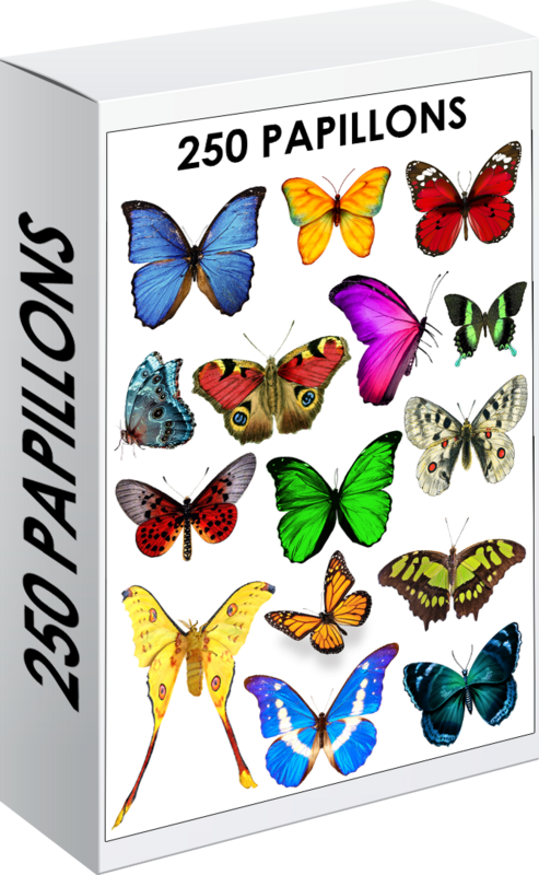 E. PACK PAPILLONS 250 PNG