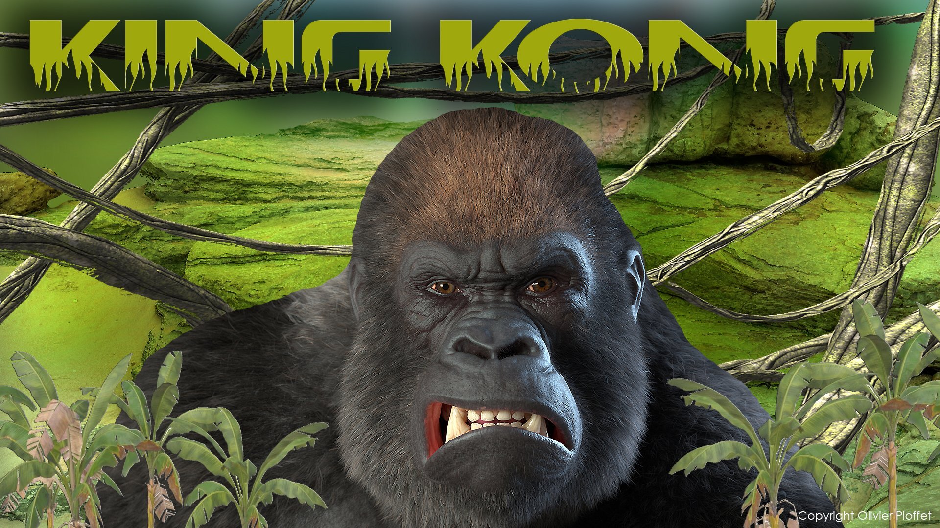 PACK 2023 - Création KING-KONG 1000 PNG