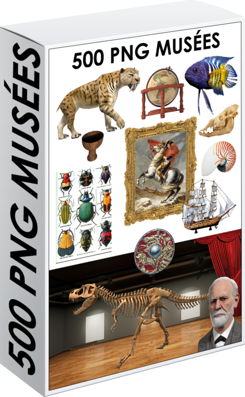 E. PACK MUSÉES 500 PNG