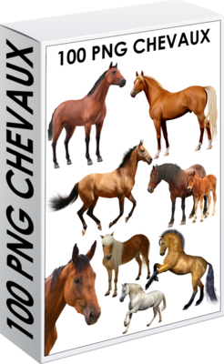 E. PACK 100 PNG CHEVAUX