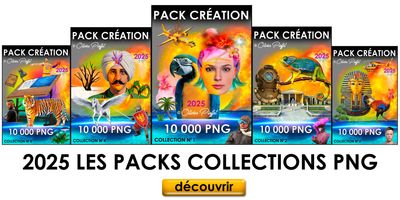 COLLECTION ABONNEMENT PNG