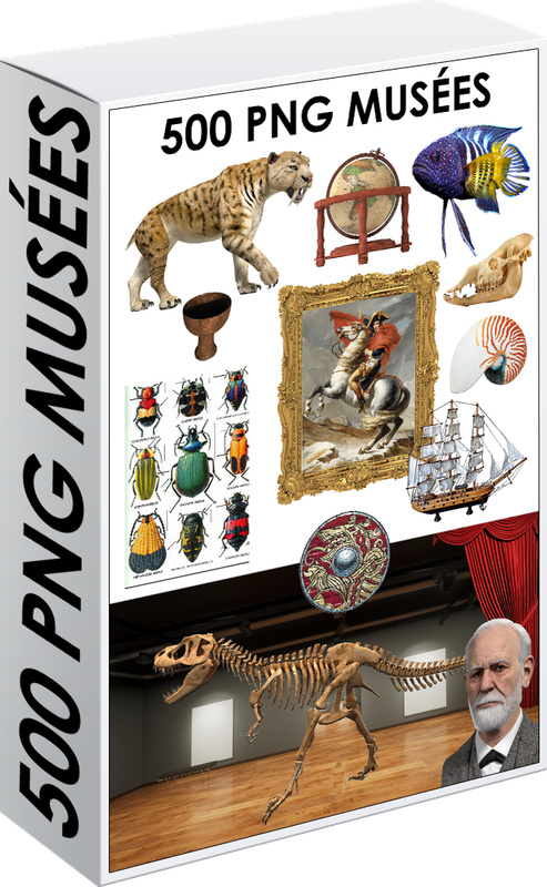 E. PACK MUSÉES 500 PNG