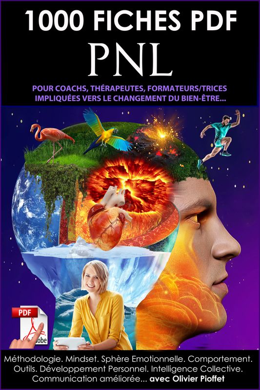 1000 FICHES PNL POUR PROFESSIONNELS 2026