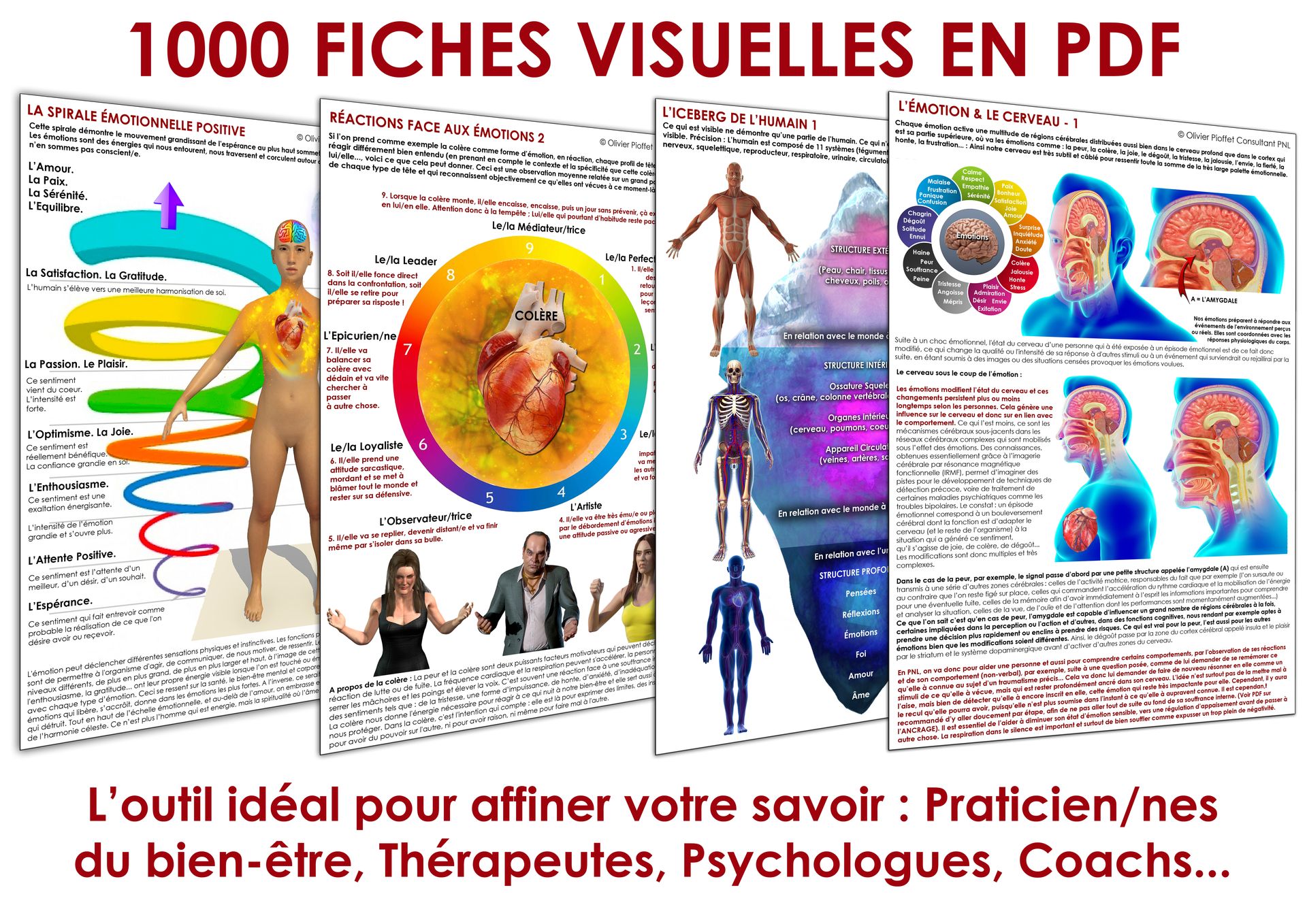 1000 FICHES PNL POUR PROFESSIONNELS 2026