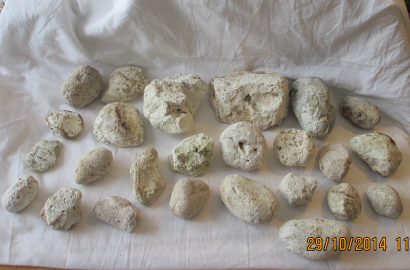 Ambergris Imperial White 100mls @5% in FCO