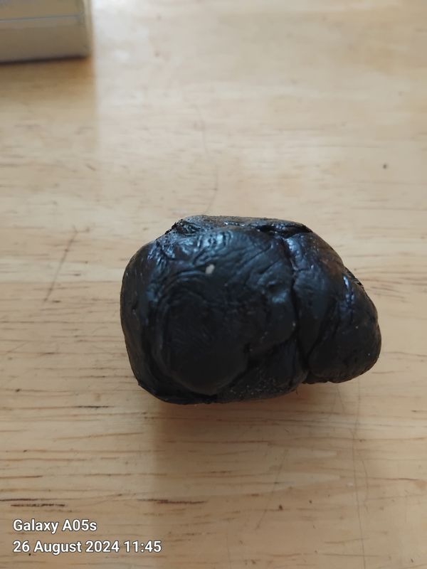 Ambergris- 20 grams Dark and Stable like